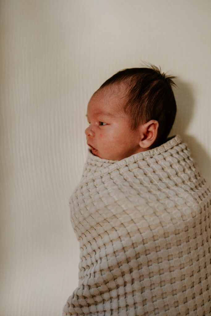 newborn baby snuggled in his blanket